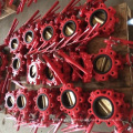 Cast Iron Lug Type Butterfly Valve